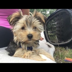 Meet your Posher, Melanie